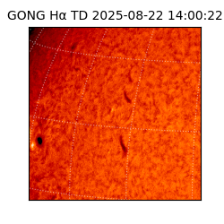 gong - 2025-08-22T14:00:22