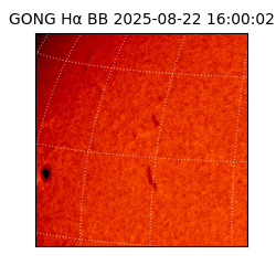 gong - 2025-08-22T16:00:02