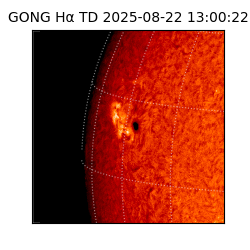 gong - 2025-08-22T13:00:22