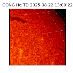 gong - 2025-08-22T13:00:22