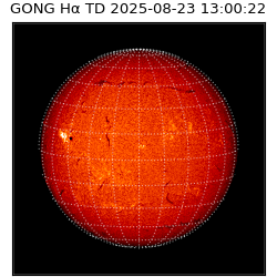 gong - 2025-08-23T13:00:22