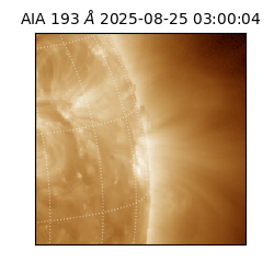 saia - 2025-08-25T03:00:04.843000