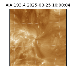 saia - 2025-08-25T10:00:04.844000
