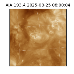 saia - 2025-08-25T08:00:04.843000