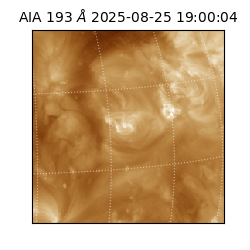 saia - 2025-08-25T19:00:04.843000