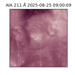 saia - 2025-08-25T09:00:09.630000