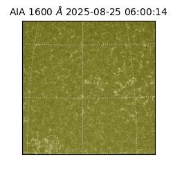 saia - 2025-08-25T06:00:14.126000