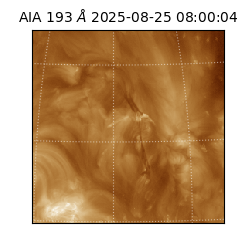 saia - 2025-08-25T08:00:04.843000