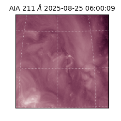 saia - 2025-08-25T06:00:09.639000