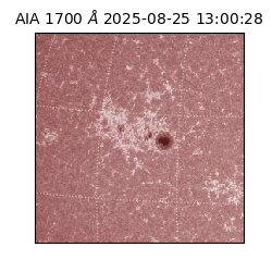 saia - 2025-08-25T13:00:28.717000