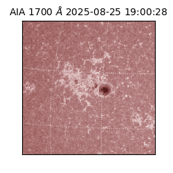saia - 2025-08-25T19:00:28.718000