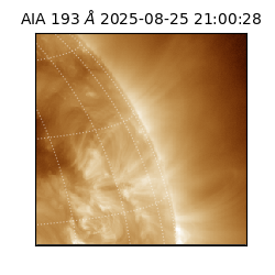 saia - 2025-08-25T21:00:28.843000