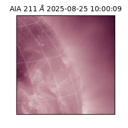 saia - 2025-08-25T10:00:09.626000