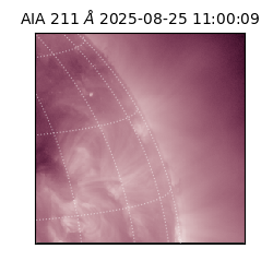 saia - 2025-08-25T11:00:09.622000