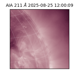 saia - 2025-08-25T12:00:09.626000
