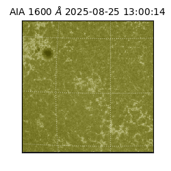 saia - 2025-08-25T13:00:14.129000