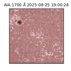 saia - 2025-08-25T19:00:28.718000