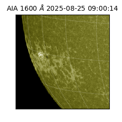 saia - 2025-08-25T09:00:14.126000