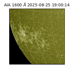 saia - 2025-08-25T19:00:14.126000