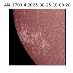 saia - 2025-08-25T10:00:28.744000