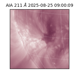 saia - 2025-08-25T09:00:09.630000