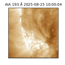 saia - 2025-08-25T10:00:04.844000