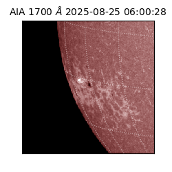 saia - 2025-08-25T06:00:28.744000