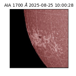 saia - 2025-08-25T10:00:28.744000