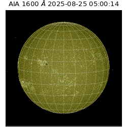 saia - 2025-08-25T05:00:14.126000