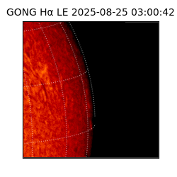 gong - 2025-08-25T03:00:42