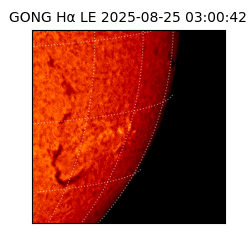 gong - 2025-08-25T03:00:42