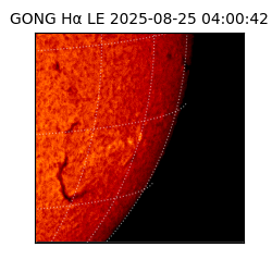 gong - 2025-08-25T04:00:42