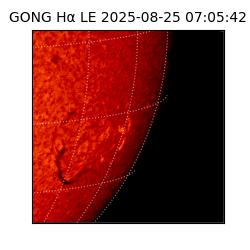 gong - 2025-08-25T07:05:42