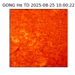 gong - 2025-08-25T10:00:22