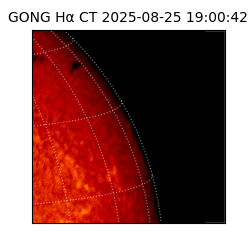 gong - 2025-08-25T19:00:42