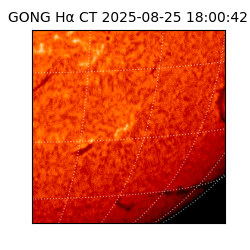 gong - 2025-08-25T18:00:42