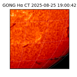 gong - 2025-08-25T19:00:42