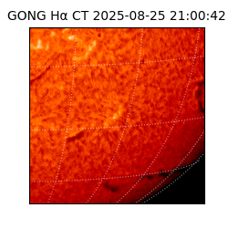 gong - 2025-08-25T21:00:42