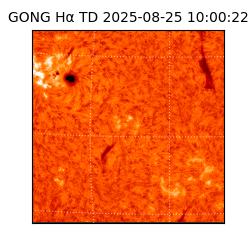 gong - 2025-08-25T10:00:22
