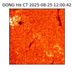 gong - 2025-08-25T12:00:42