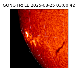 gong - 2025-08-25T03:00:42