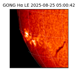 gong - 2025-08-25T05:00:42