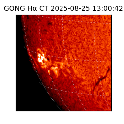 gong - 2025-08-25T13:00:42