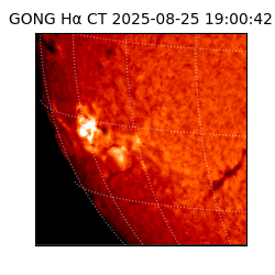 gong - 2025-08-25T19:00:42