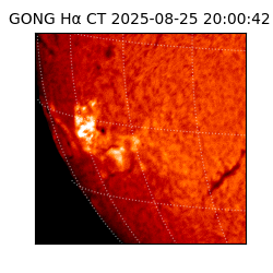gong - 2025-08-25T20:00:42