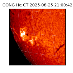 gong - 2025-08-25T21:00:42