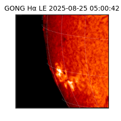 gong - 2025-08-25T05:00:42