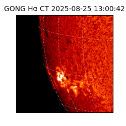 gong - 2025-08-25T13:00:42