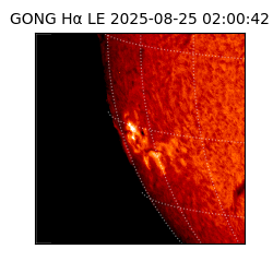 gong - 2025-08-25T02:00:42
