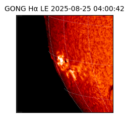 gong - 2025-08-25T04:00:42